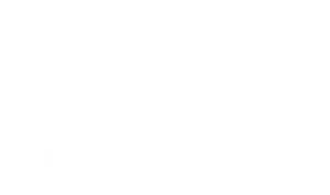 IRS-Provider-Logo-white
